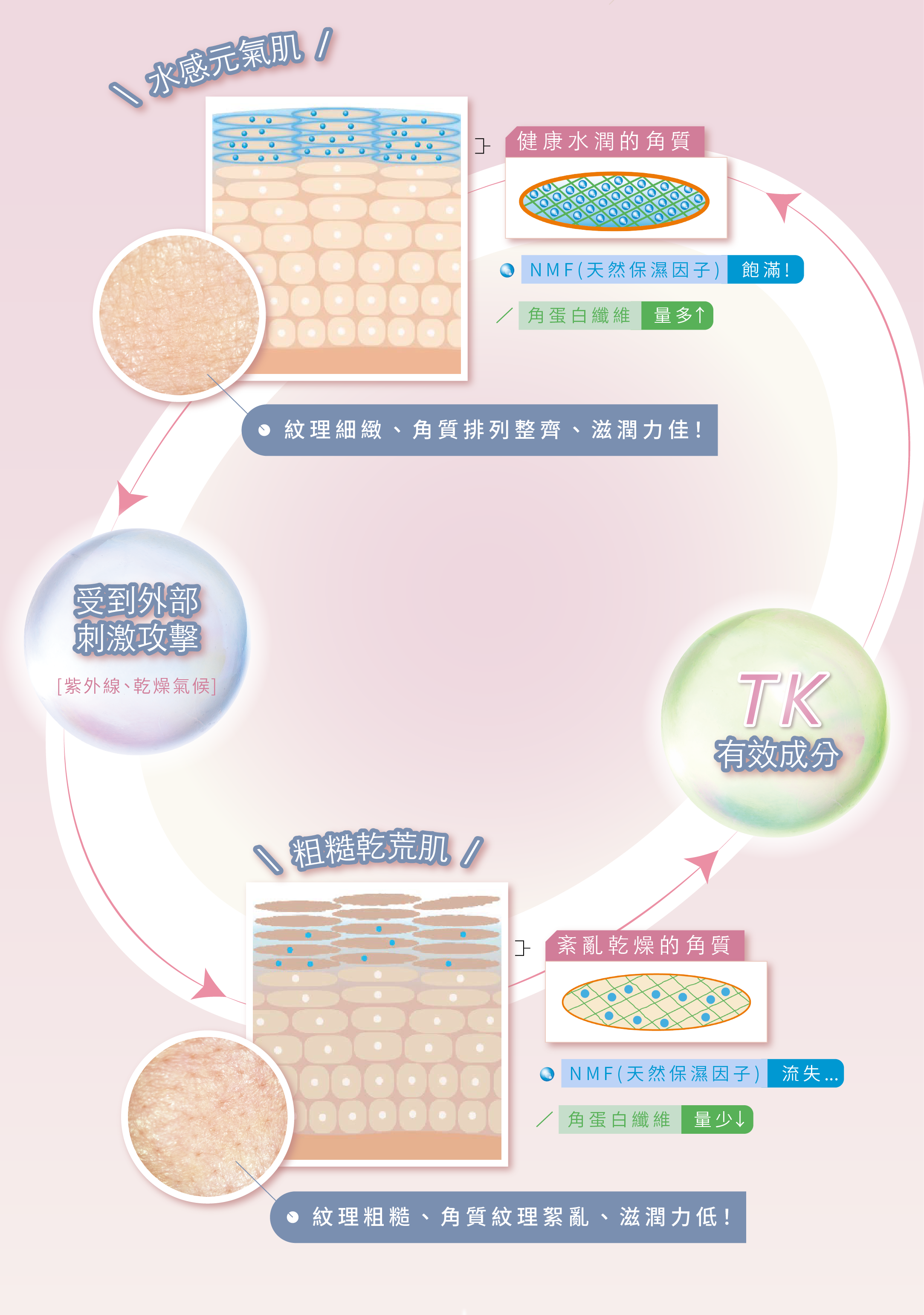 使用效果